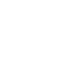 segmento pet